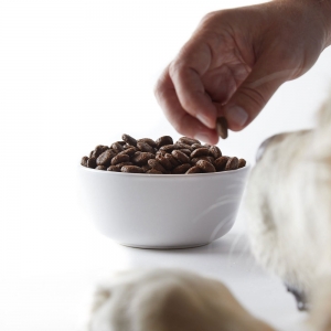 AMBROSIA Sensitive Świeży Łosoś i Królik 1,5 kg - karma sucha dla psa rasy małej i miniaturowej