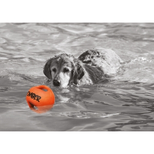 ZEUS BOMBER Medium - Extra mocna piłka pływająca dla psa