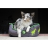 Kiwi Walker OVAL PET BED legowisko dla psa rozmiar XL zielono-szare