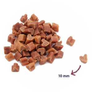 RENSKE DOG HEALTHY MINI TREAT CHICKEN WITH BROCCOLI 100 g - zdrowy mini przysmak dla psów małych ras - kurczak z brokułami
